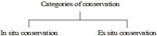 Management of Natural Resources Class 10 Notes Science